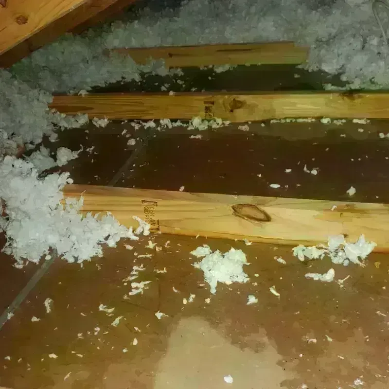 Attic Water Damage in Antelope, CA