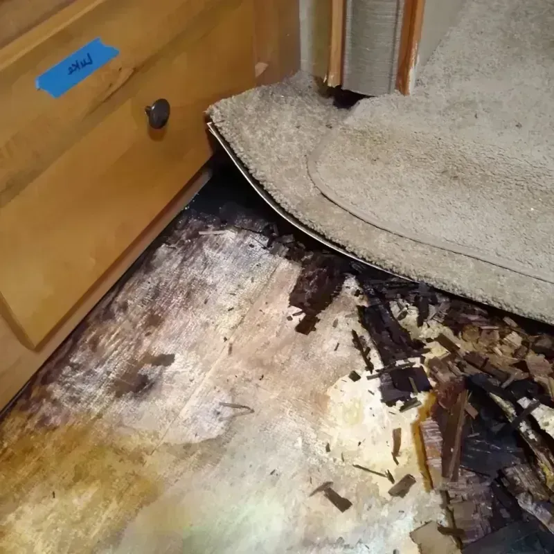 Wood Floor Water Damage in Antelope, CA